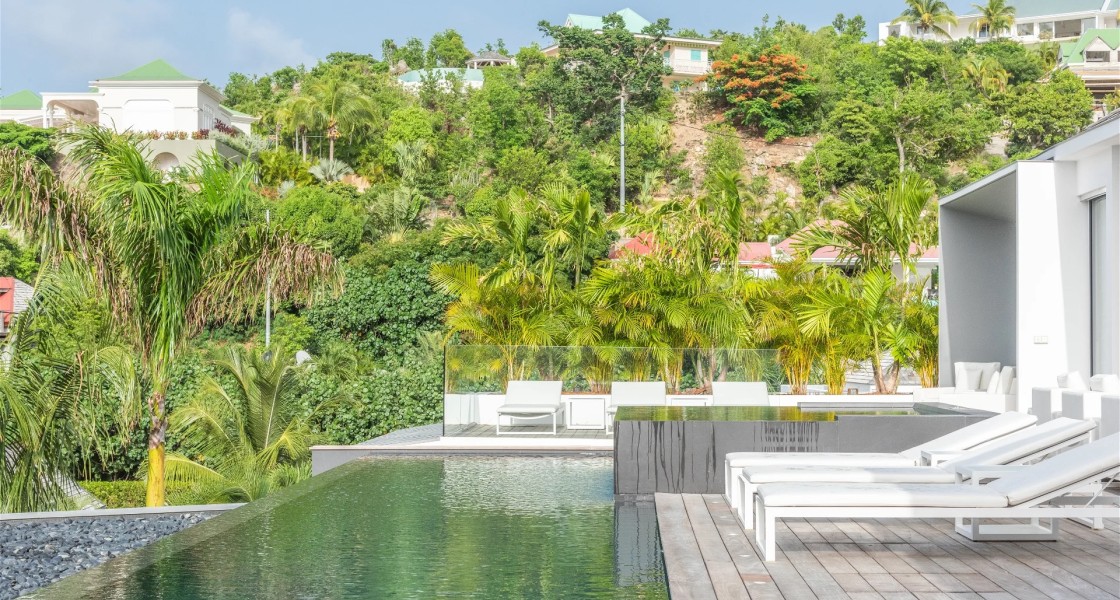 Golden Palm - Photo 3