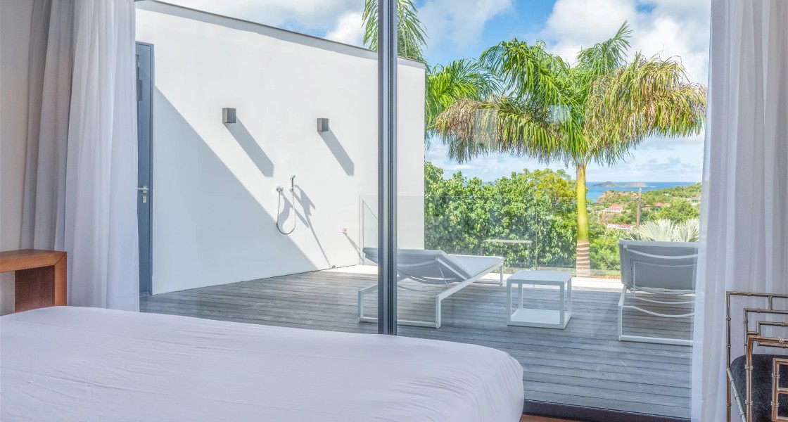 Golden Palm - Photo 19