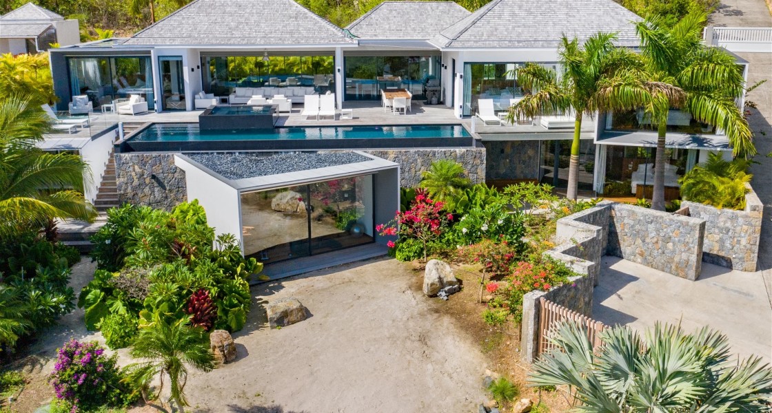 Golden Palm - Photo 33