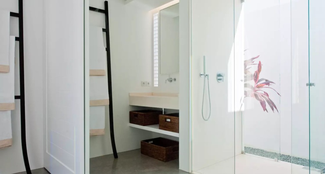 Olive - Photo 21