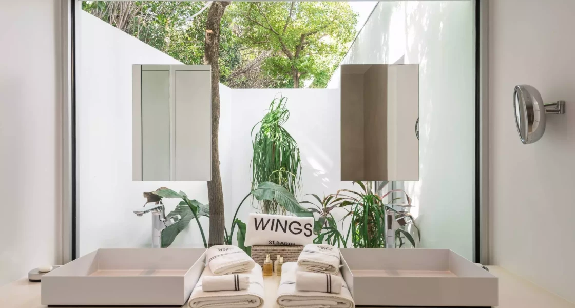 Wings - Photo 15