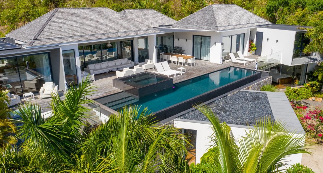 Golden Palm - Photo 1