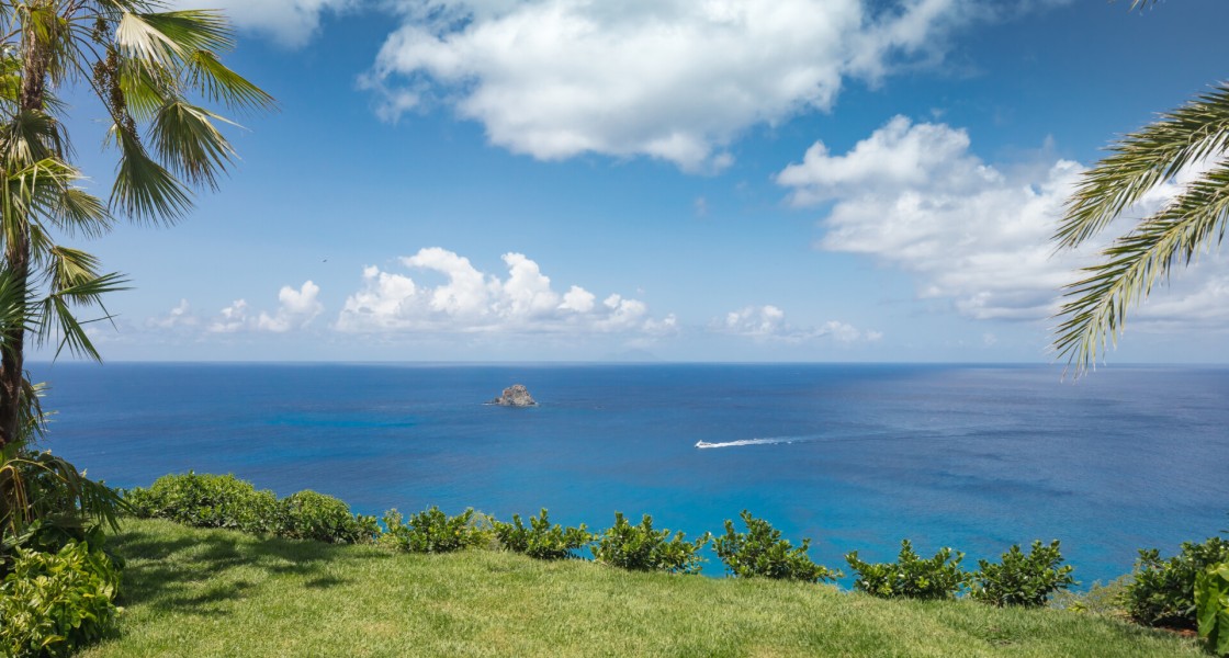 Omai Zilé - Photo 15