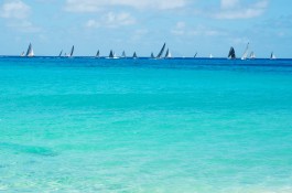 Regattas