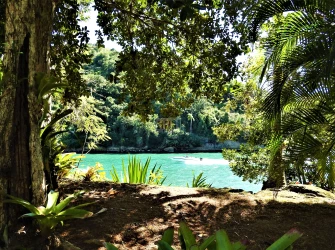 Brazilia - Photo 3