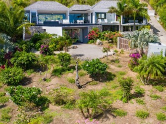 Golden Palm - Photo 32