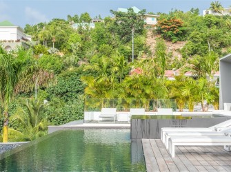 Golden Palm - Photo 3
