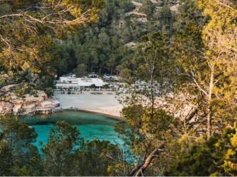 Blue Marine - Photo 19
