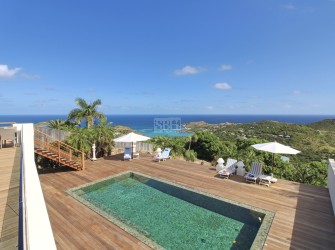 Pomponnette - Photo 1
