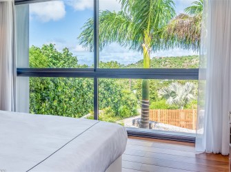 Golden Palm - Photo 22