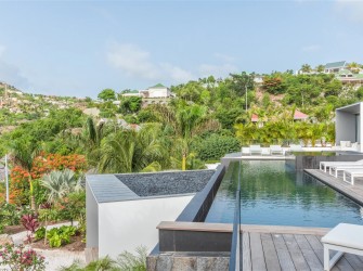 Golden Palm - Photo 2