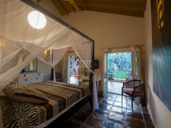 African Queen - Photo 17