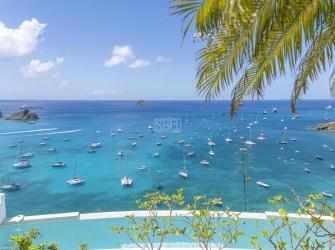 Mauresque - Photo 1