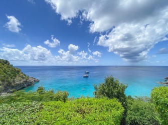 Vitti - Photo 32