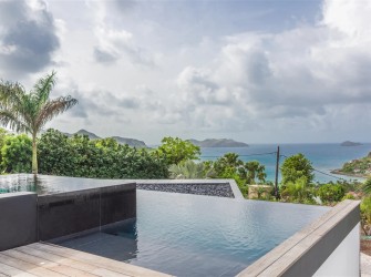 Golden Palm - Photo 31