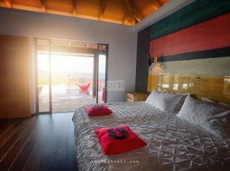 Moh - Photo 7