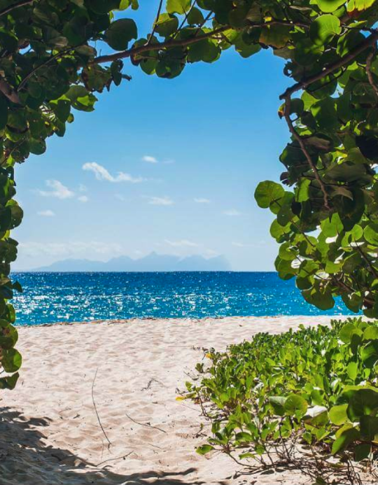 Description of the island