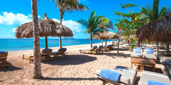 Beach restaurants: